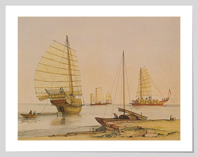 Boats Used for Tea Transport in the Pearl River, 1843