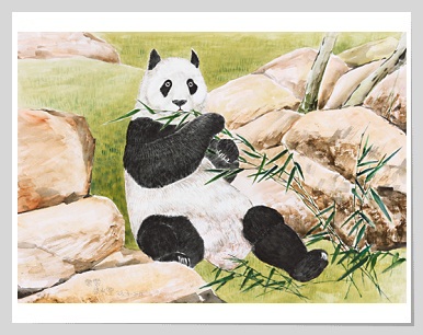Panda designed by Leung Shing Fung
