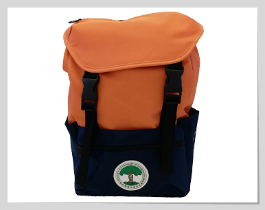 “Step Out for Children” Backpack